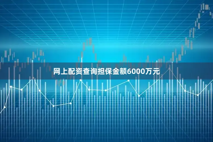 网上配资查询担保金额6000万元