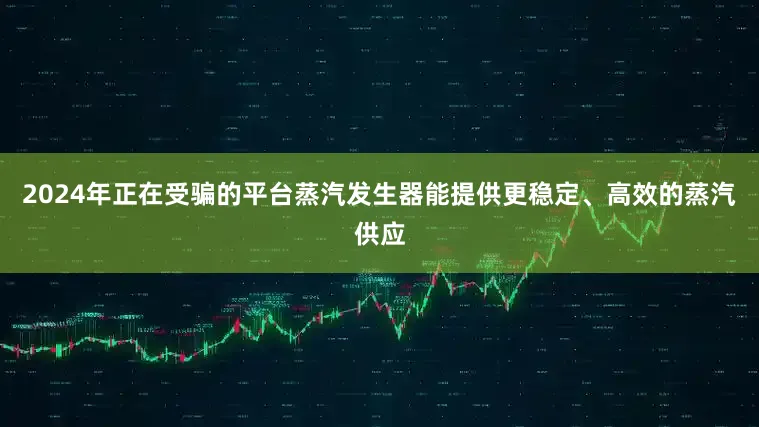 2024年正在受骗的平台蒸汽发生器能提供更稳定、高效的蒸汽供应